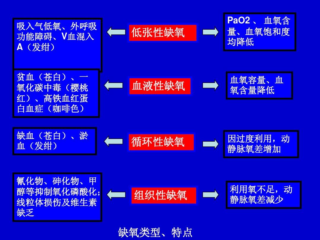 缺氧与神经细胞兴奋性降低的关联解析_动态词语解释