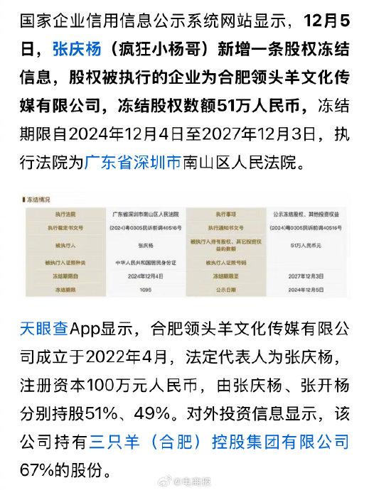 疯狂小杨哥股权被冻结，深度解析事件背后原因与影响_落实执行