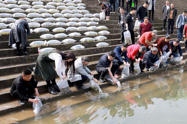 水利局回应老人河边放生大米，理解与引导并重，共创和谐生态_方案细化和落实