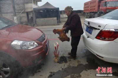 四川一小熊猫疑被车辆撞倒，事件背后的反思与启示_落实执行