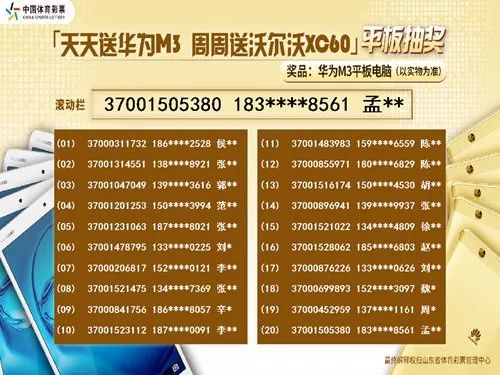 2024新澳门天天彩免费资料大全特色,反馈分析和检讨_升级版16.787