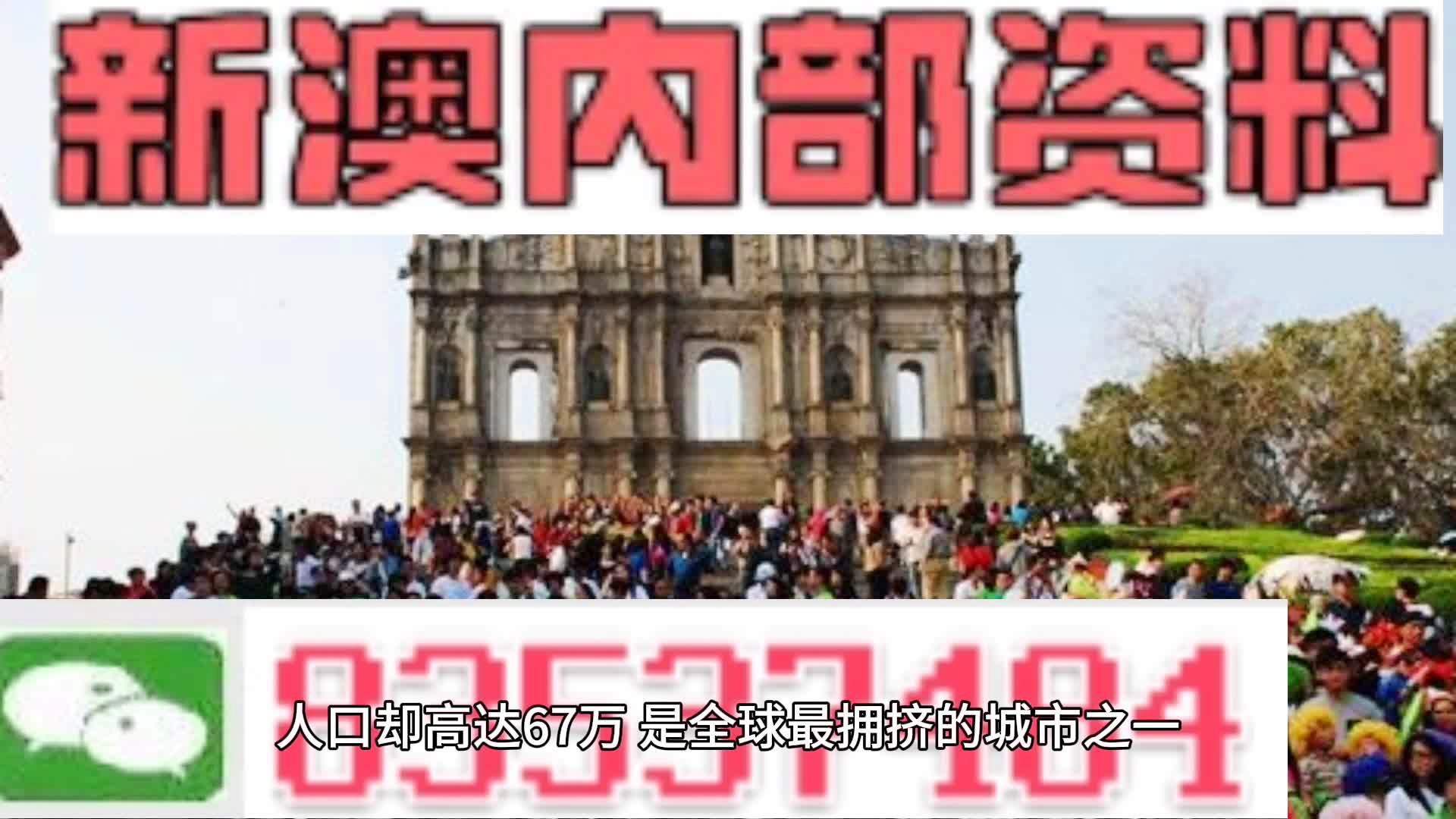 新澳门资料全年免费精准,全面解答落实_Z82.836