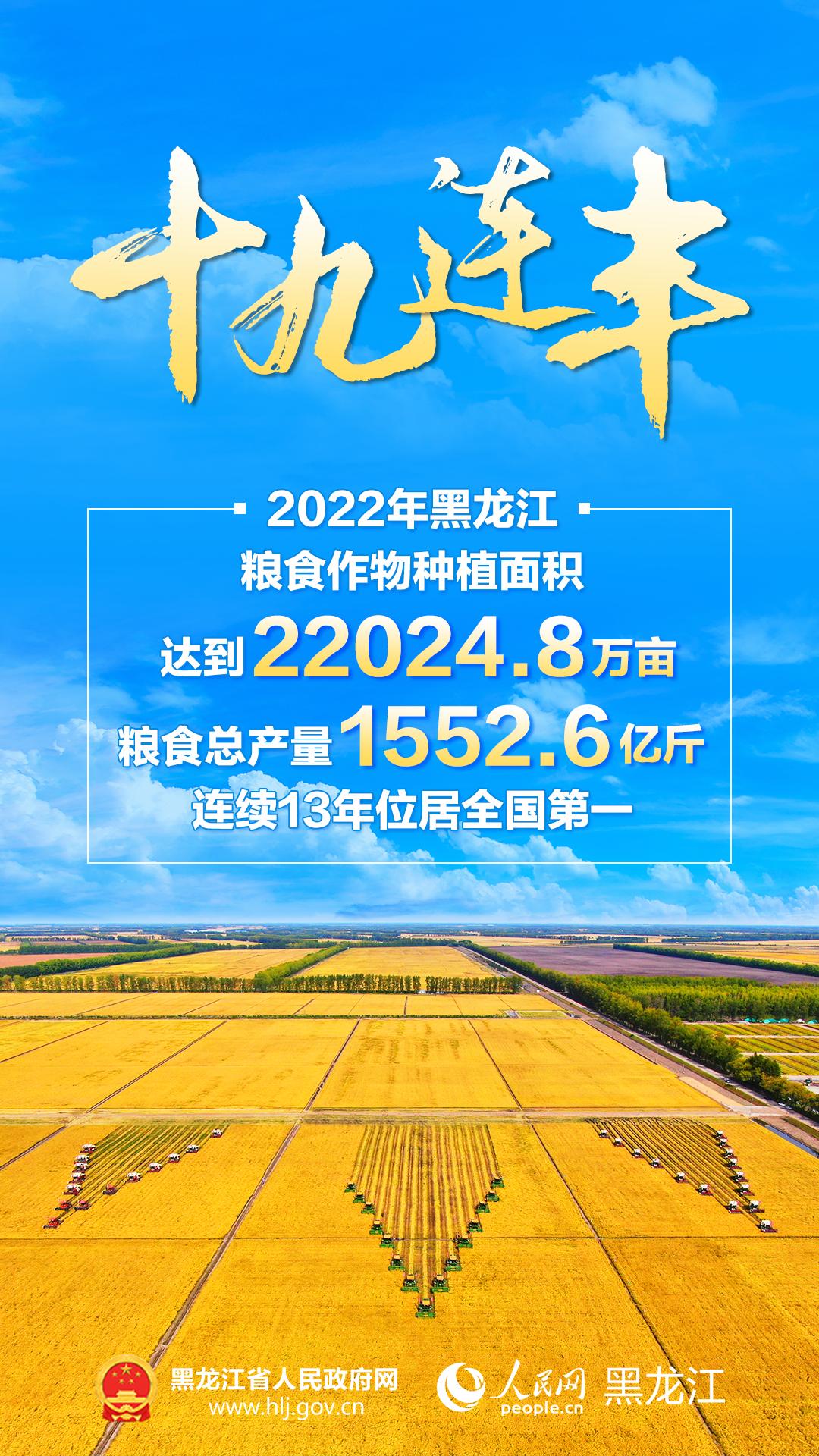 黑龙江粮食总产量首次突破1600亿斤，丰收的喜悦与未来的展望_反馈实施和执行力