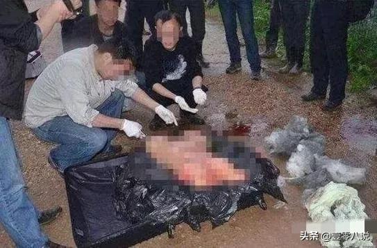 悉尼发现碎尸包裹，死者为来自中国的移民_资料解释落实