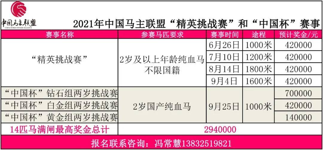 2024今晚香港开特马,反馈落实_精英版75.824