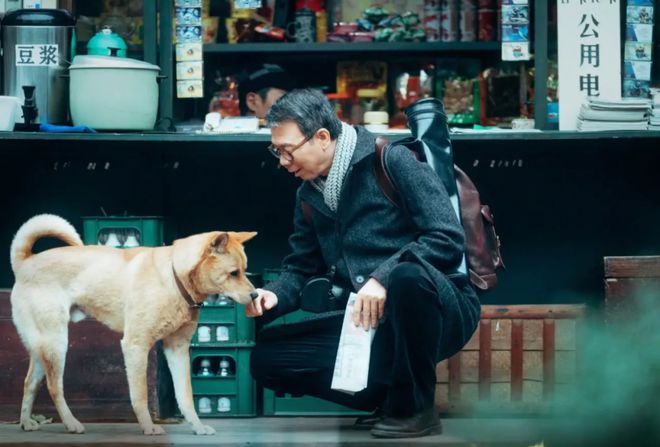 四不像今晚必中一肖,贯彻落实_V版29.297