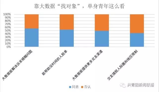 年轻人反向驯大数据，引领新时代的智慧浪潮_逐步落实和执行