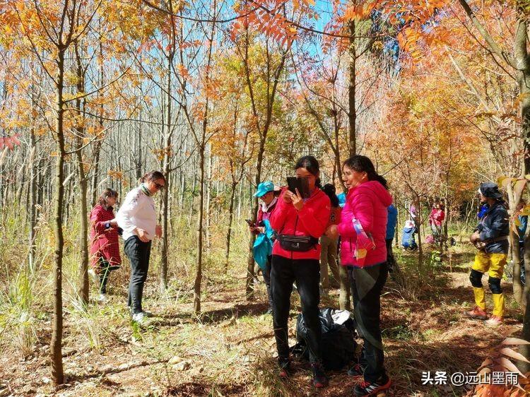 旅游团午饭有铁锈