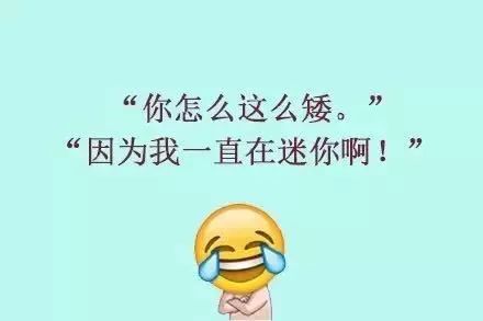 以你为傲，荣光绽放的辉煌篇章_精准解答落实