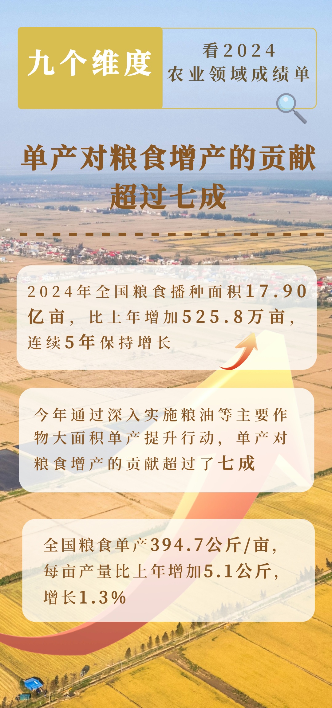 农业领域蓄势待发，2024年交出亮眼成绩单_词语解释落实