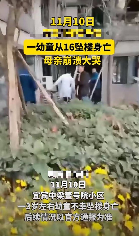 四川一学生坠楼身亡事件，排除刑事案件的可能_反馈意见和建议