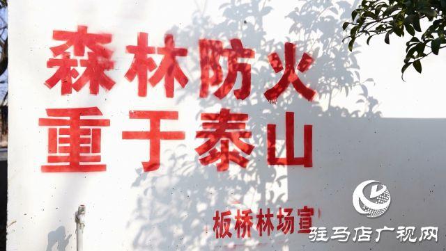 村里近1500人姓闪——一个独特村落的姓氏文化探究_最佳精选解释落实