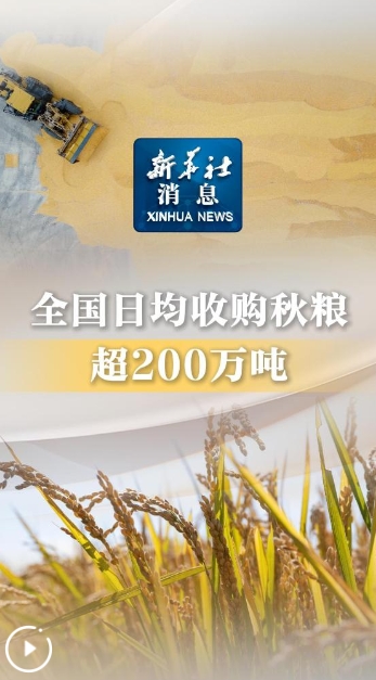 全国日均收购秋粮超200万吨，丰收背后的粮食供应链深度解析_反馈落实