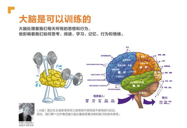 刺激大脑好吗？探索大脑刺激的优势与平衡_精选解释落实