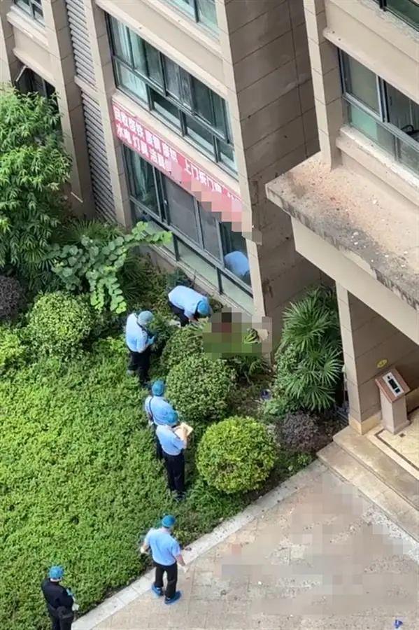 女子坠亡引发深思，男友赔偿23万背后的复杂情感与法律思考_全面解答解释落实