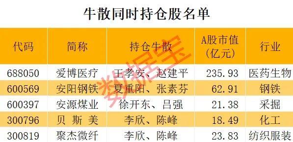 牛散最新持股查询与超级牛散名单揭秘_贯彻落实