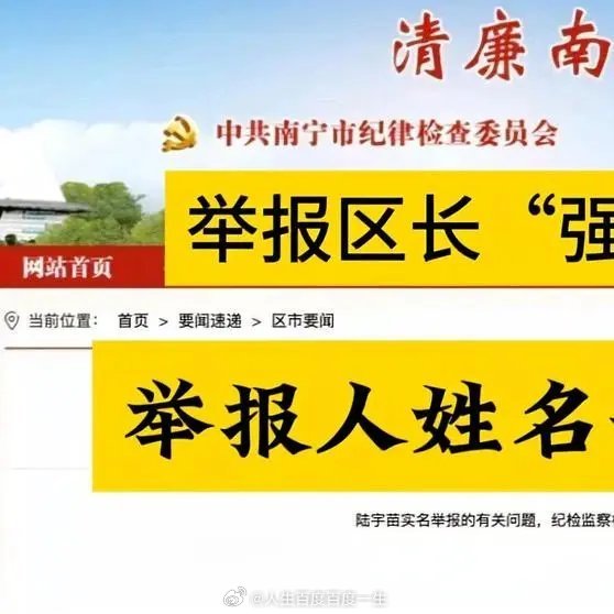 被实名举报的区长代表资格终止，探究背后的真相与启示_全面解释落实