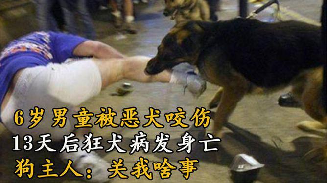 男孩被恶犬咬死事件，反思与警醒的社会议题_细化方案和措施