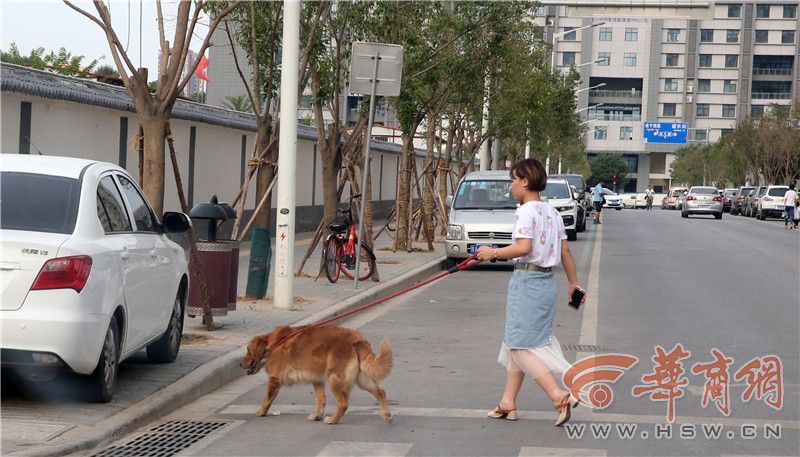 西安狗咬人新闻背后的深思_解释落实