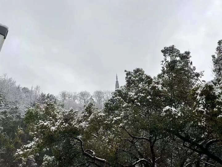 张杰为女儿在家造雪，父爱如雪的温暖与独特