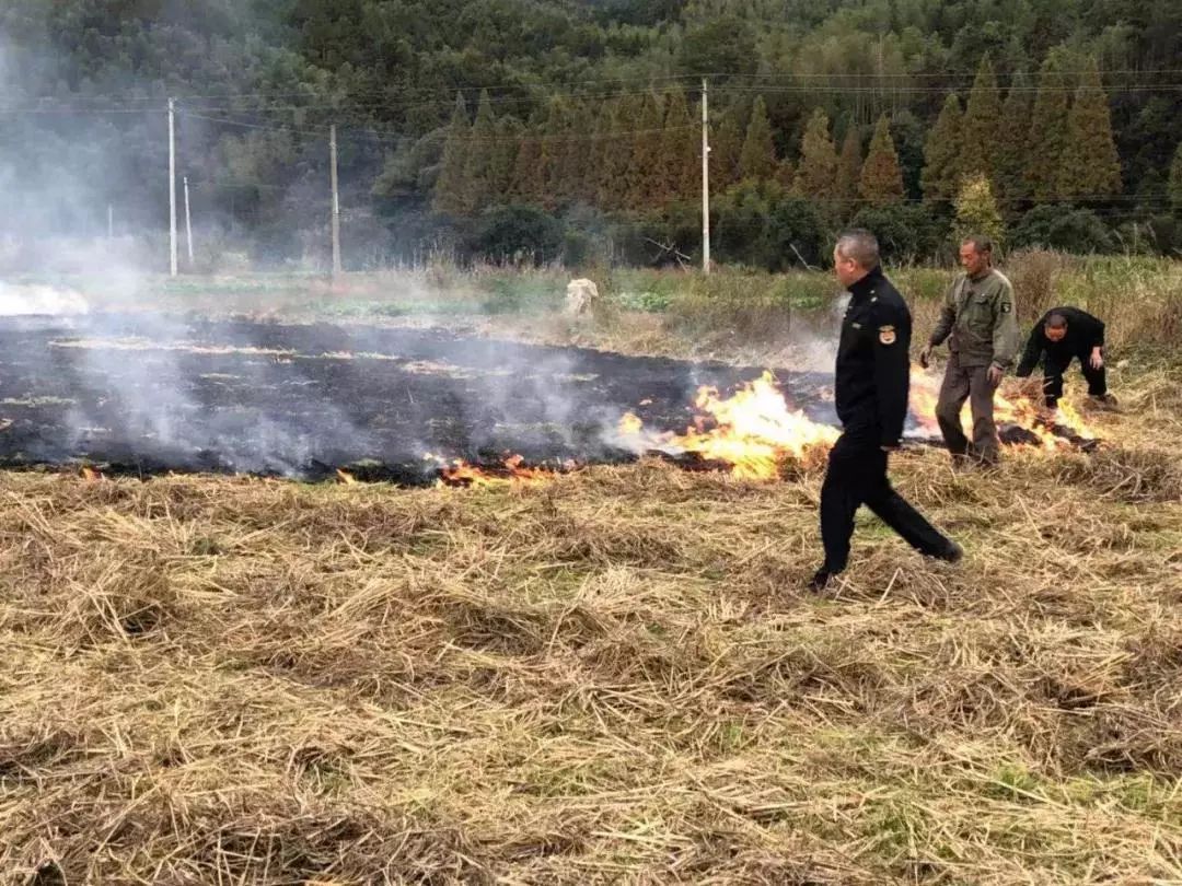 村民焚烧秸秆村委会责任探析