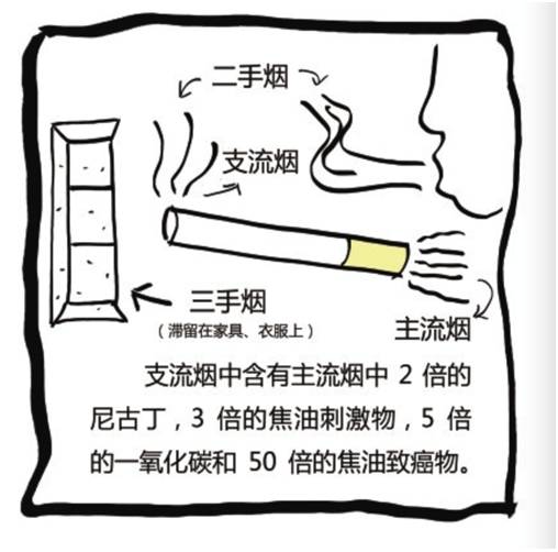 为什么说二手烟比一手烟更毒