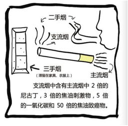 二手烟比一手烟更毒，揭示被动吸烟的危害与防治策略