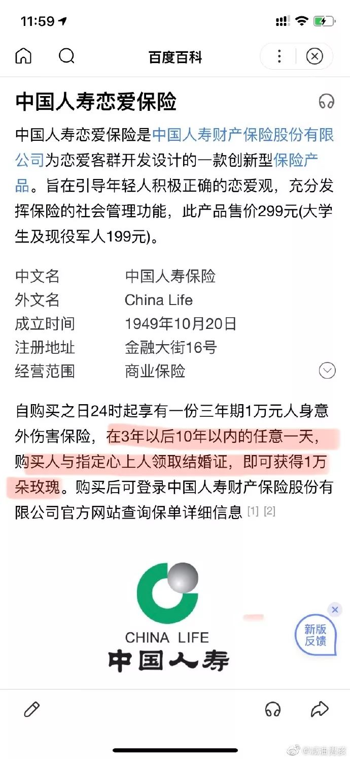 男子故意驾车入湖，投保金额引发争议