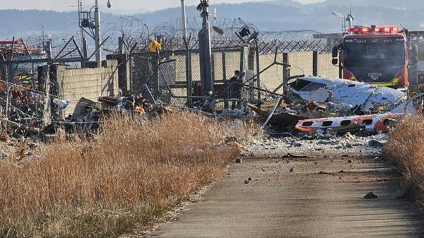 阿航空难因地面攻击，深度剖析与反思