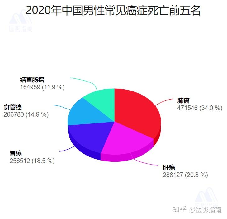 2020年因癌症死亡的案例，深度探究与反思