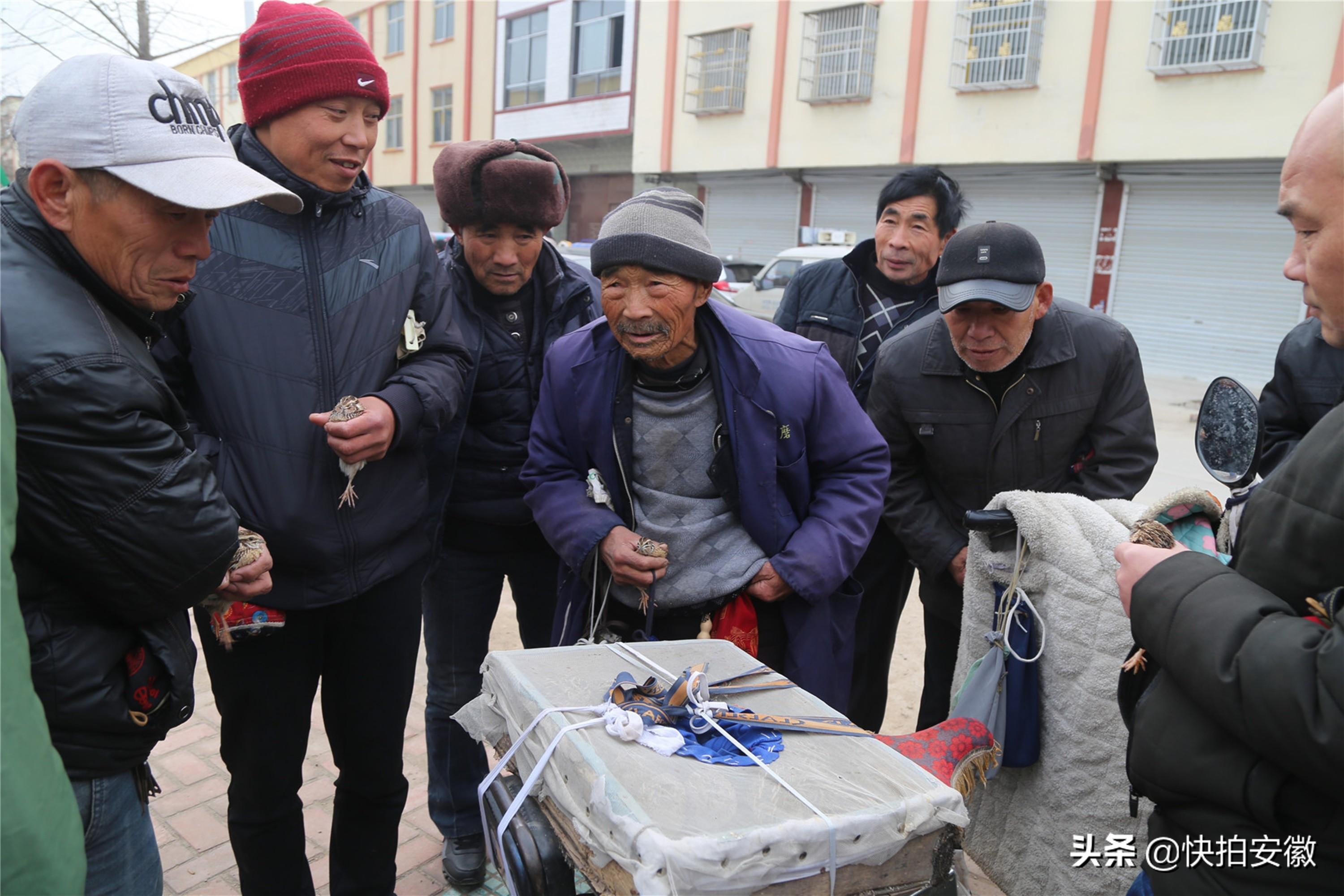 韩客机失事当天，仅有两人负责防鸟活动引发深思