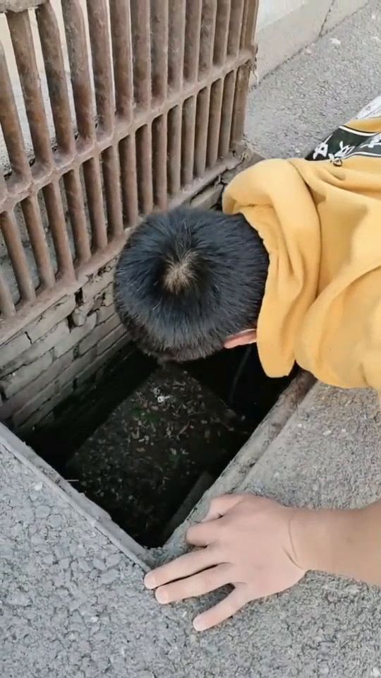 下水道捡来的奇遇与人生转折