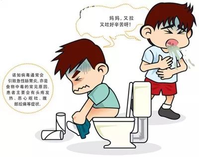 学校多学生呕吐腹泻事件，探究原因与应对措施