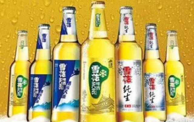 韩国青岛啤酒价格解析，市场趋势与消费体验