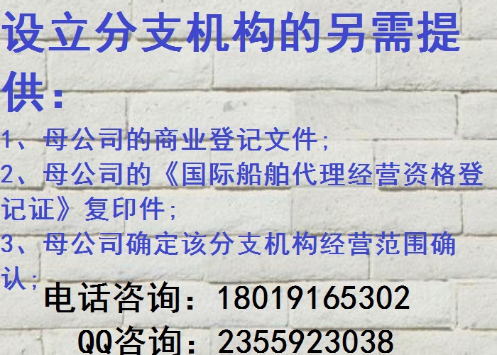 多地延长应届毕业生资格时限，机遇与挑战并存的新时代篇章