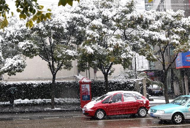 上海或迎初雪