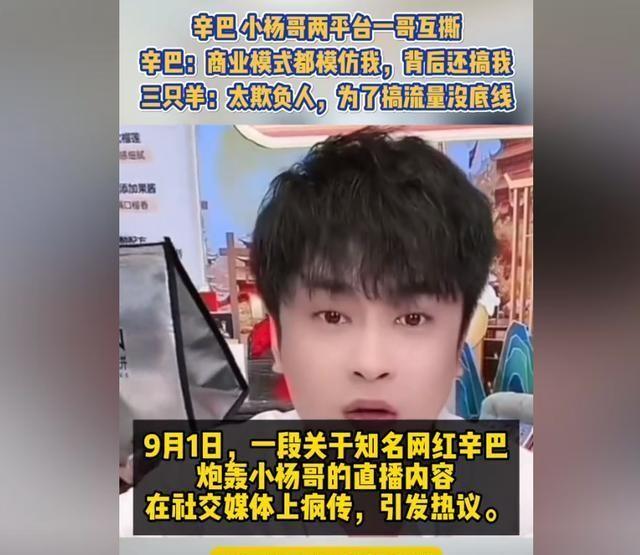 疯狂小杨哥与三只羊等被起诉事件深度解析