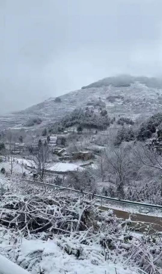 云南迎25年首场降雪，瑞雪兆丰年，银装素裹展现别样风采