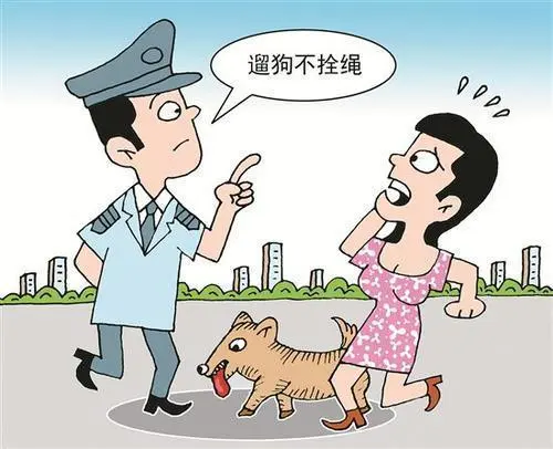 遇到路上遛狗不拴绳怎么办？