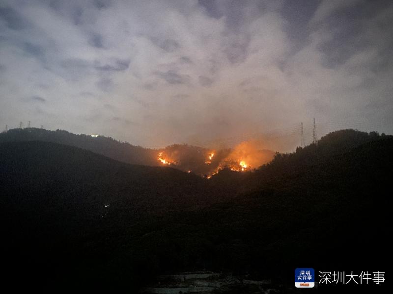 香港突发山火，深圳也能看到——城市间的生态危机与应对之道