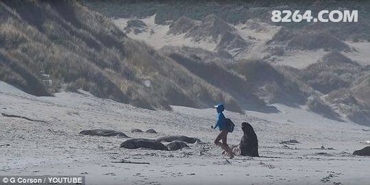 游客海滩拍照遭驱赶事件引发热议