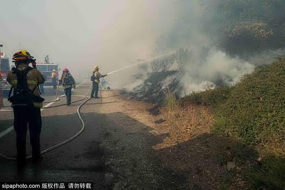 洛杉矶森林山火肆虐，黑暗笼罩下的生态悲剧