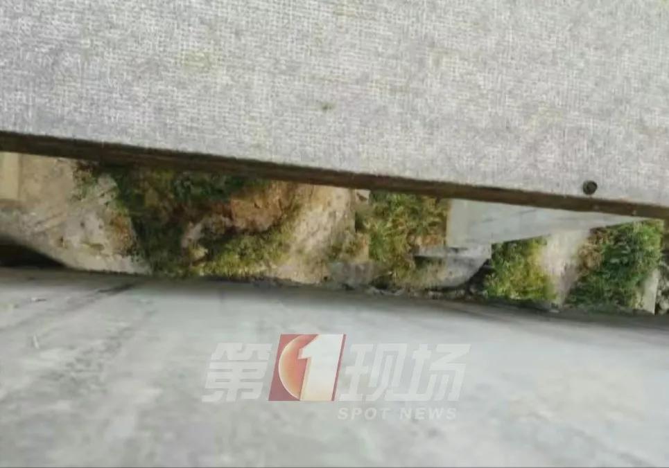 心脏偷懒 第2页