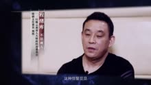 厅官杨慧的深刻忏悔，愚蠢与疯狂的代价