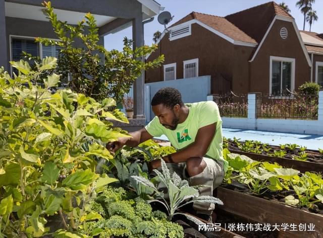 美国网友积极备战，屋前屋后种菜热潮