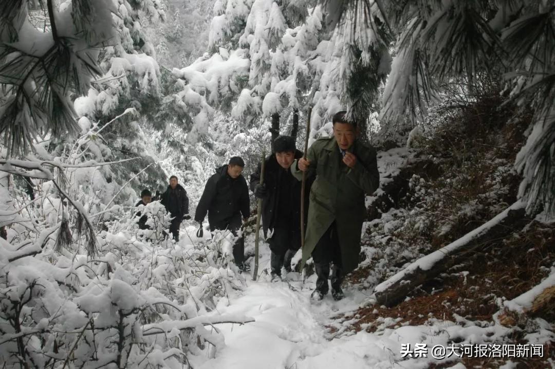 女童山里走失3天，父亲悬赏百万寻人——生死未卜的呼唤与社会的温暖守护