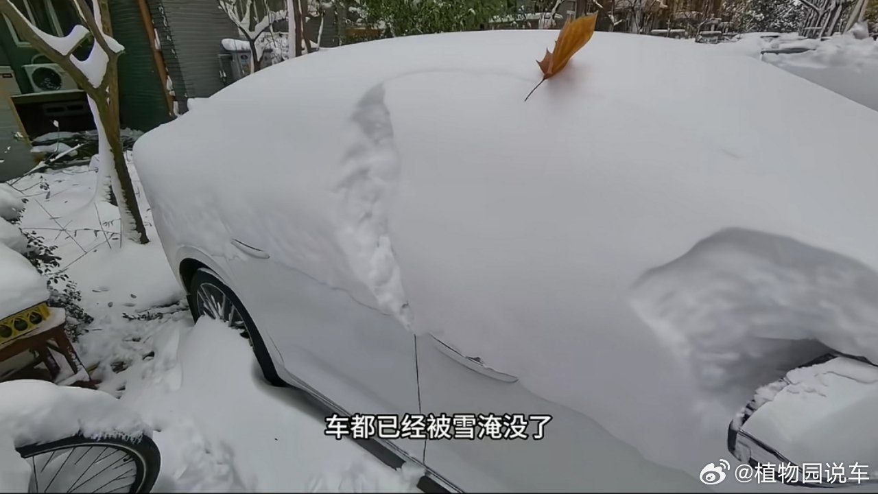 河南暴雪影响深度解析，应对挑战与保障民生