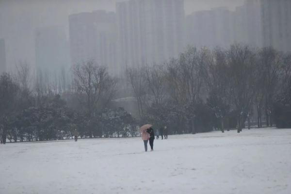 河南局地暴雪超20毫米，影响与应对