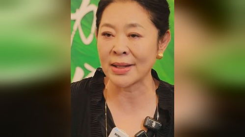 倪萍直播透露麦琳身世真相，深度解析背后的故事