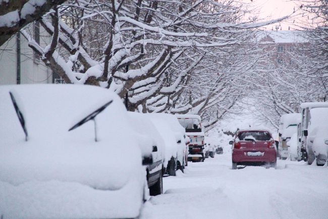 多地迎来大雪，新增积雪深度达八厘米以上